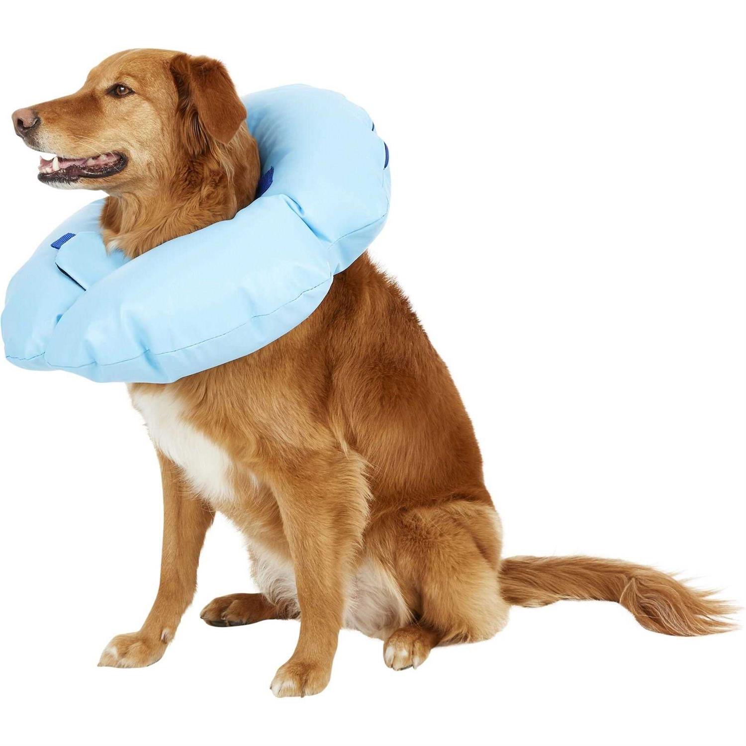 Dogswell Stay Rite Xtra Strong Inflatable Recovery Dog Collar - Nail Gallerys