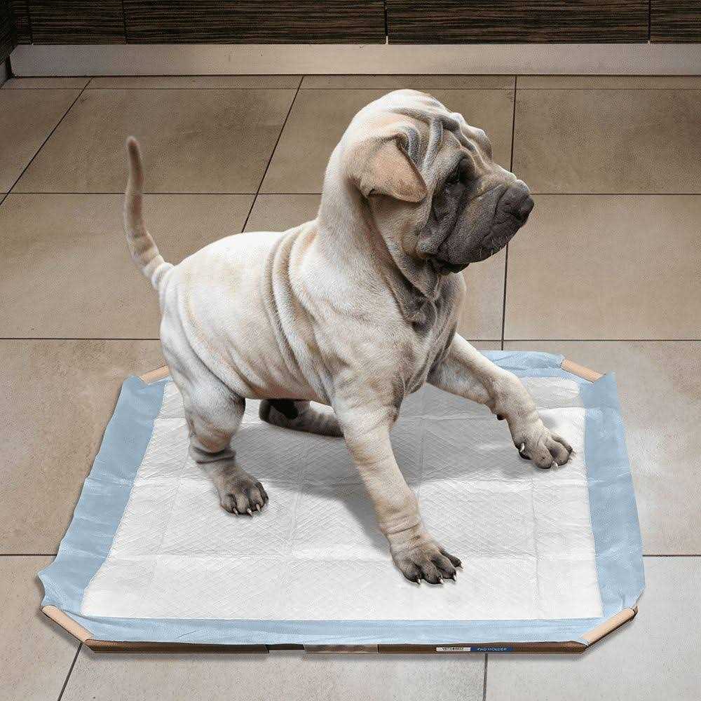 OUT! Dog Pad Holder Portable Tray for Pet Training and Puppy Pads - Nail Gallerys
