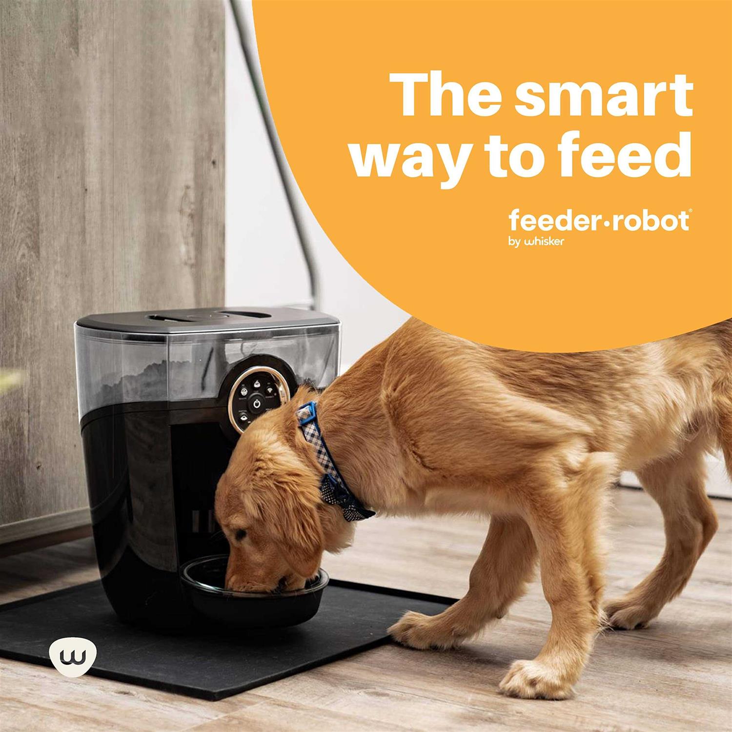 Whisker Feeder-Robot Wi-fi Cat & Dog Auto-Feeder with Hopper & Backup Battery Compatibility - Nail Gallerys