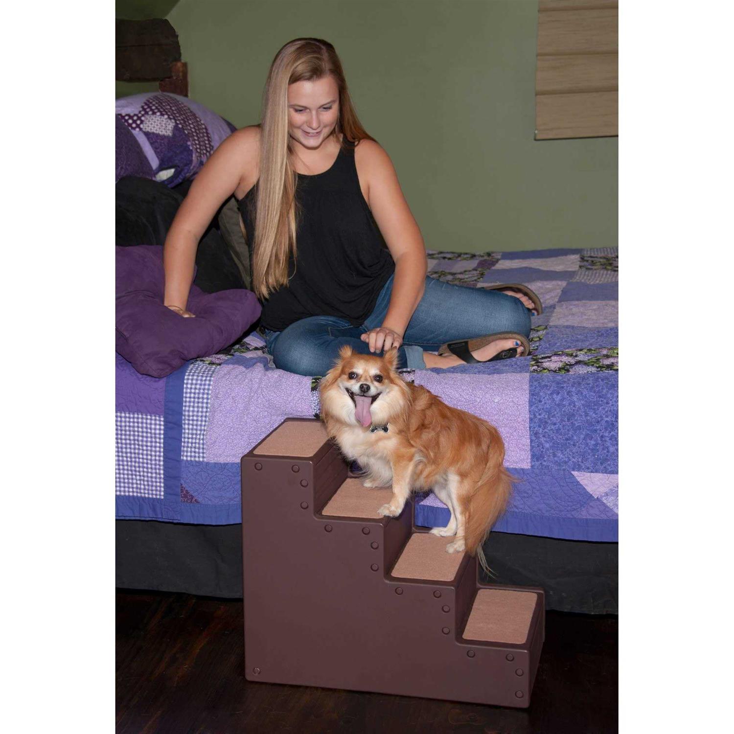 Pet Gear Easy Step IV - Nail Gallerys