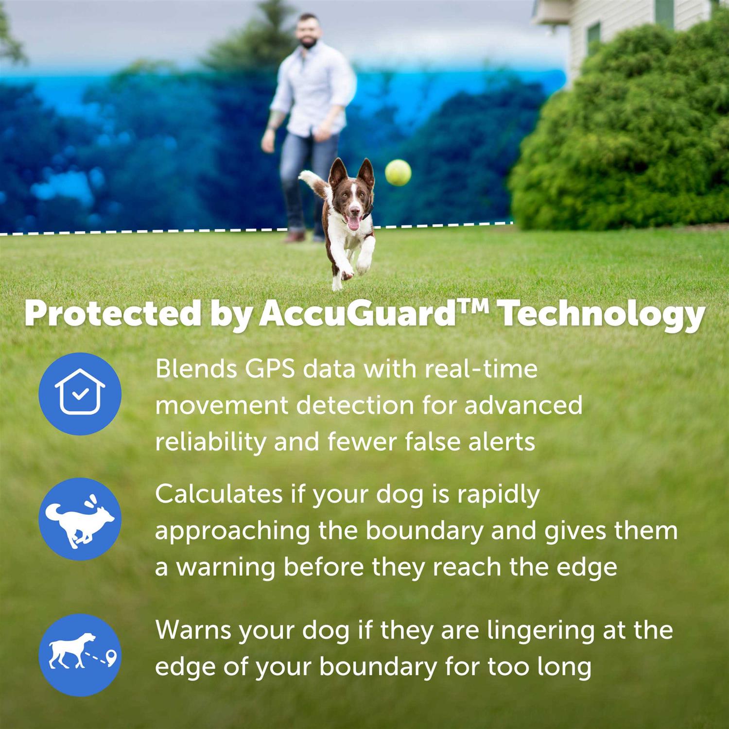 PetSafe Guardian GPS Wireless Dog Fence Collar - Nail Gallerys