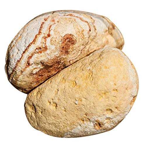 Galapagos Natural Terrarium Stones - Nail Gallerys