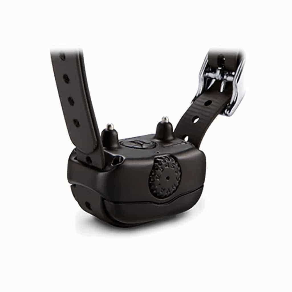 Garmin BarkLimiter Deluxe - Nail Gallerys