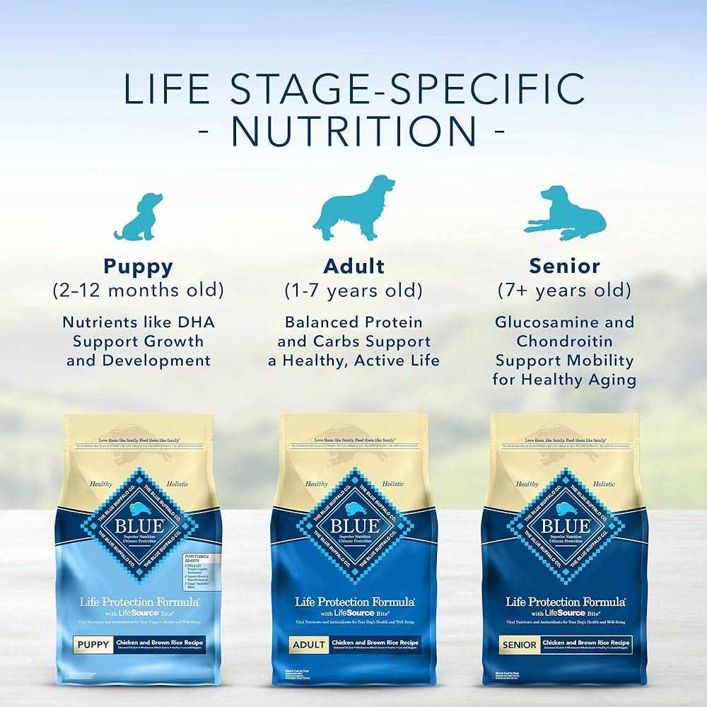 Blue Buffalo Life Protection Formula Beef & Brown Rice Adult Dry Dog Food - Nail Gallerys