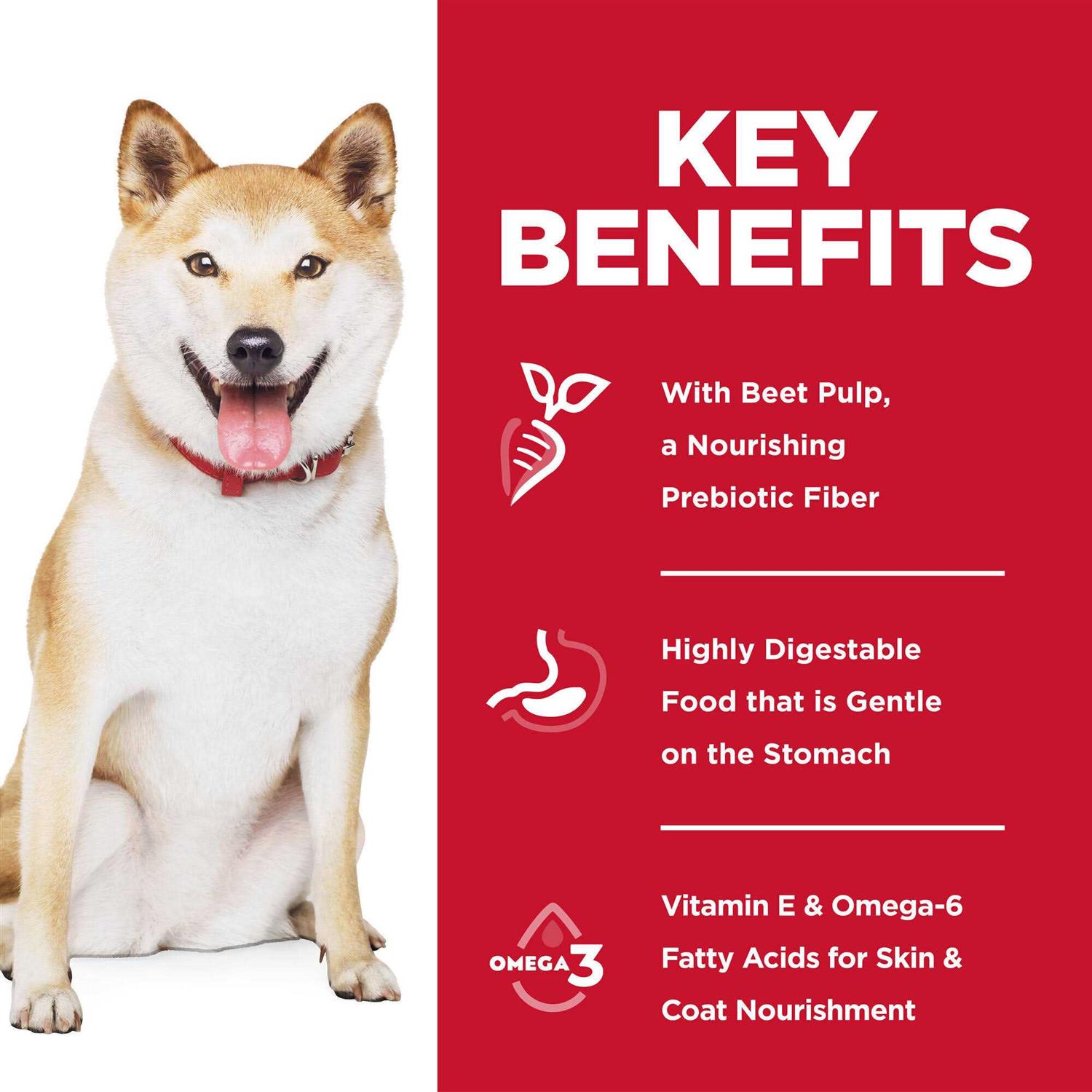 Hill’s Science Diet Adult Sensitive Stomach & Skin Pollock Meal - Nail Gallerys