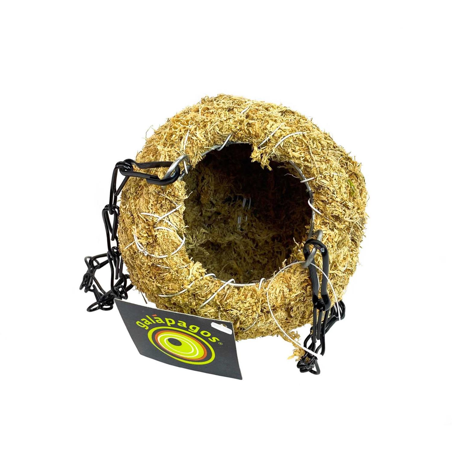 Galapagos 4 Mossy Cave - Nail Gallerys