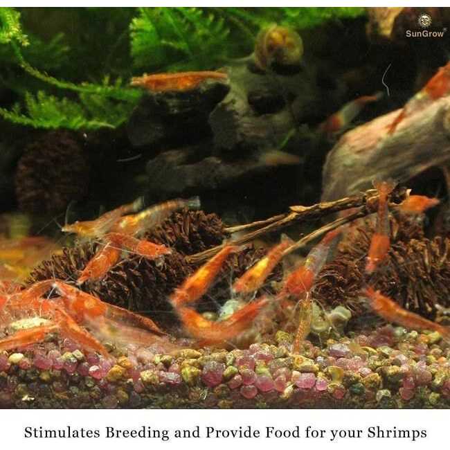 SunGrow Shrimp Breeding Aquarium Tank Water Conditioner & Food Alder Cones - Nail Gallerys