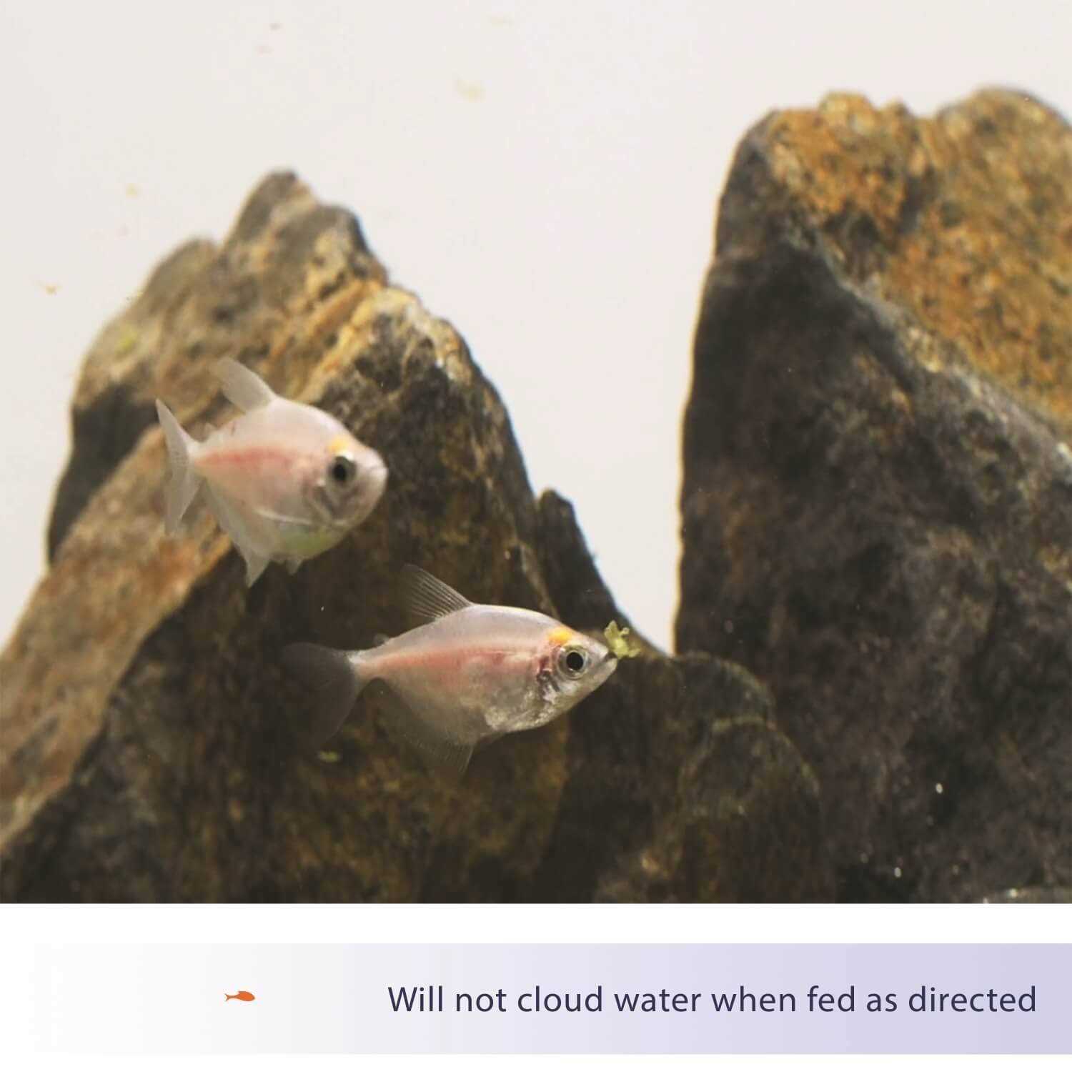 Aqueon Food Tropical Flakes - Nail Gallerys