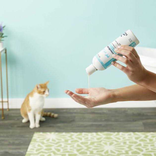 DermaBenSs Shampoo 12oz - Nail Gallerys