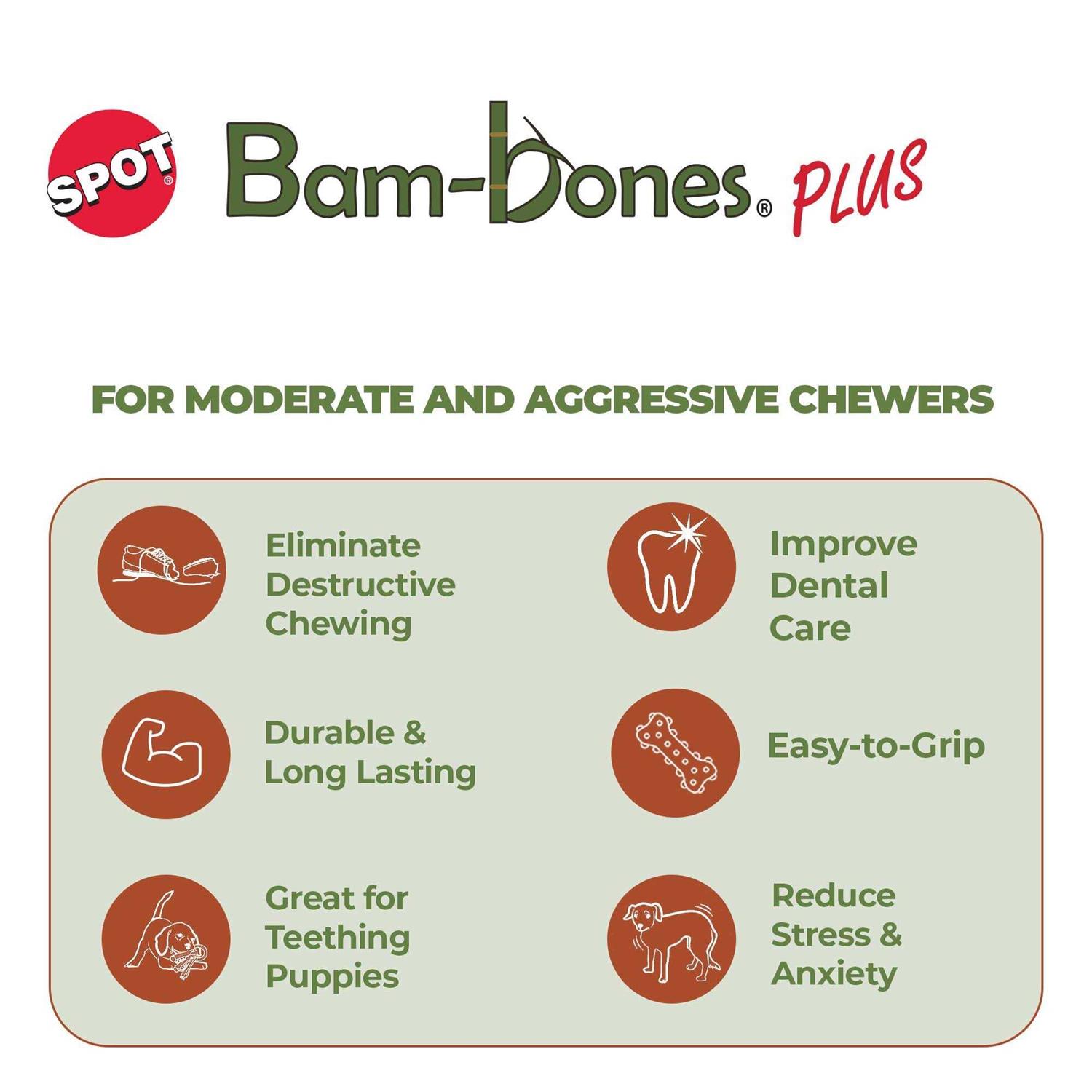 Bam-Bone Plus Branch Beef Dog Toy - Nail Gallerys