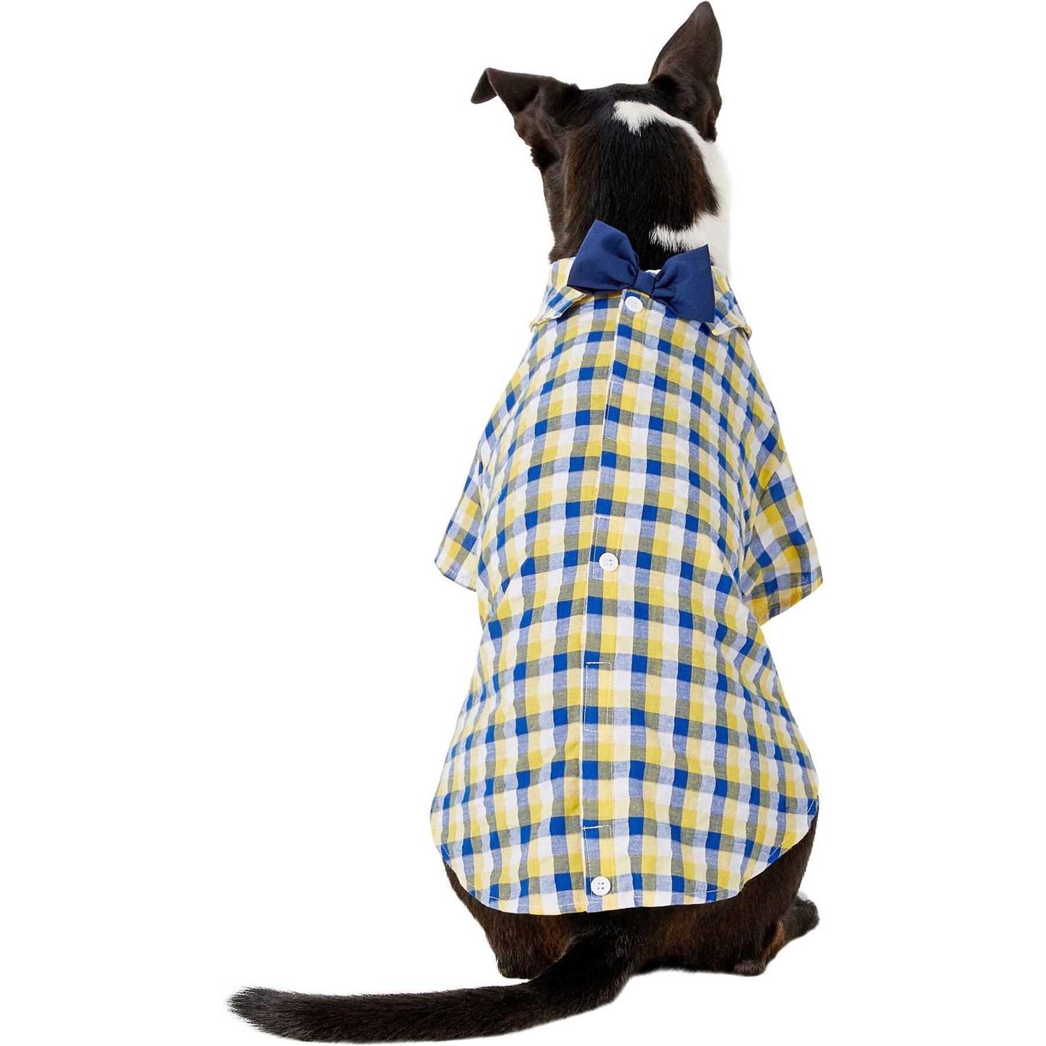 Living World Singing Parakeet - Nail Gallerys