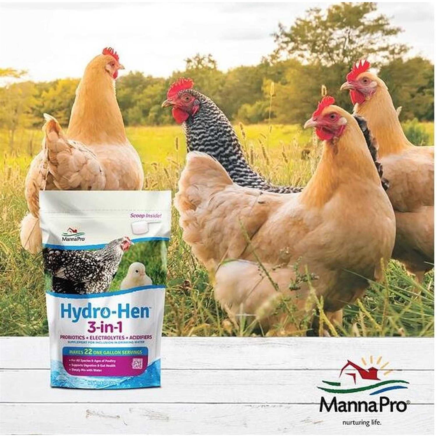 Manna Pro Hydro-Hen 3-in-1 Supplement - Nail Gallerys