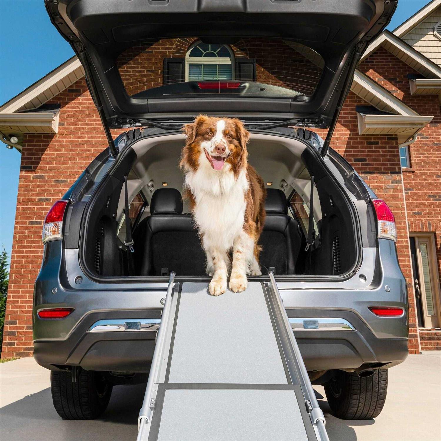 PetSafe Happy Ride Telescoping Dog Ramp - Nail Gallerys