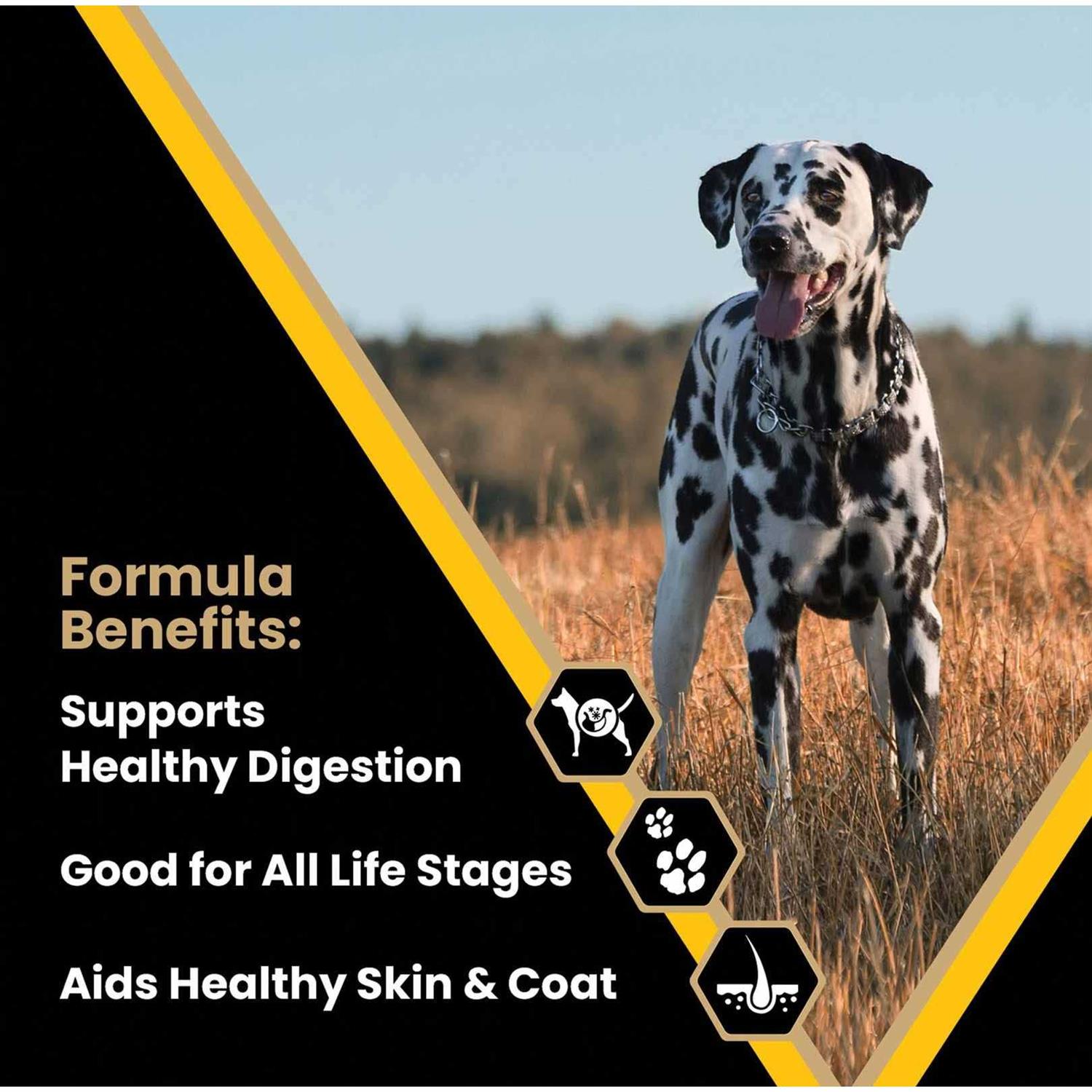 Victor Multi-Pro Dog Food - Nail Gallerys