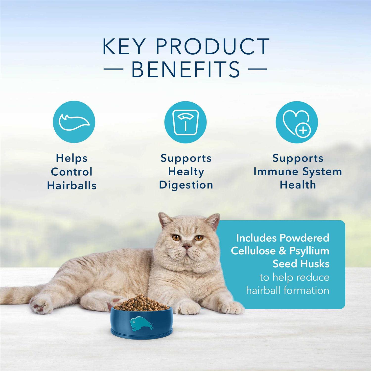 Blue Indoor Hairball Control Adult Dry Cat Food - Nail Gallerys