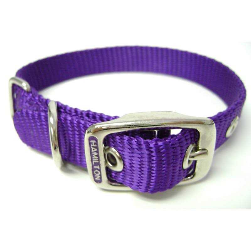 Hamilton Thick Nylon Dog Collar - Nail Gallerys