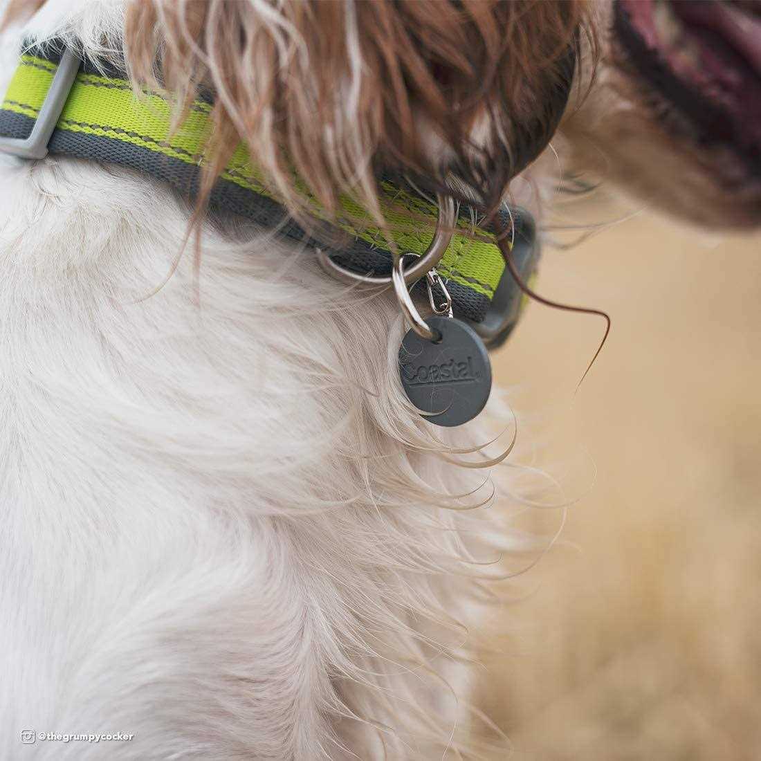 Coastal EZ Change Dog ID Clip - Nail Gallerys