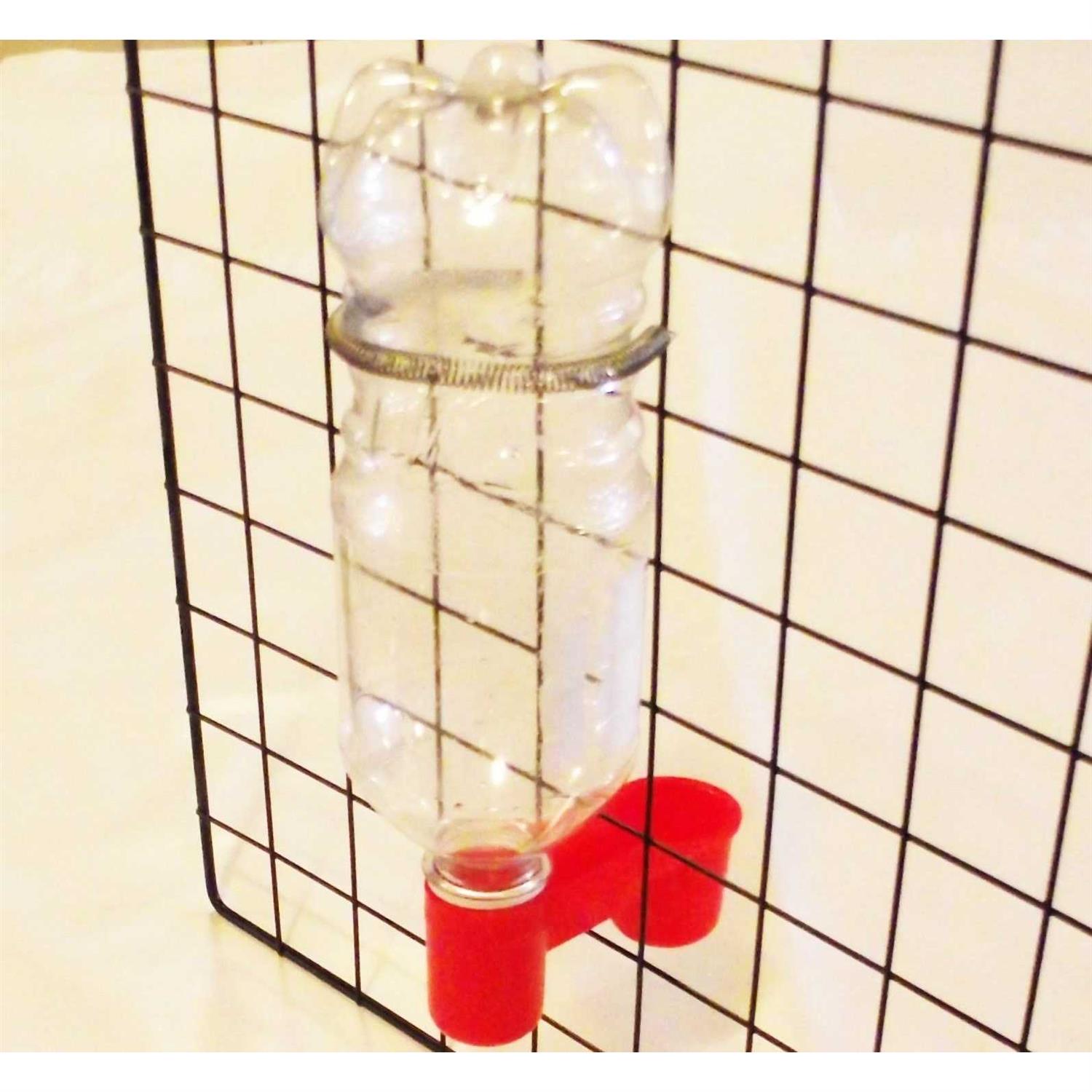 Soda Pop Water Bottle Bird Drinker Cup & Spring - Nail Gallerys