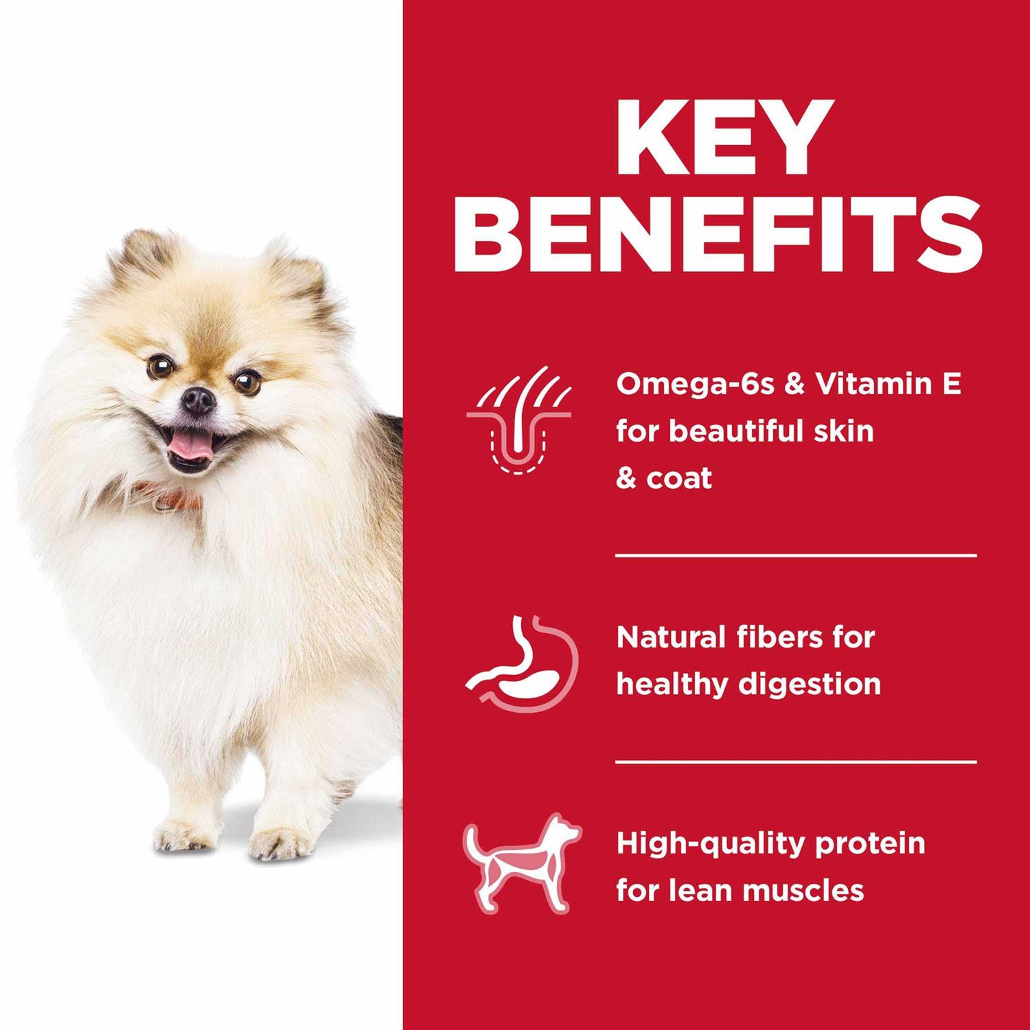 Hill’s Science Diet Adult Small Bites No Corn, Wheat or Soy Dry Dog Food - Nail Gallerys