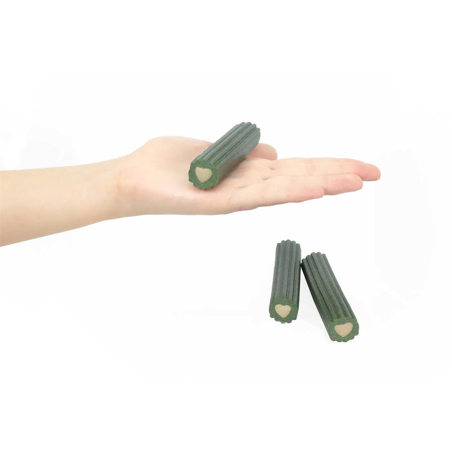 Ark Naturals Brushless Toothpaste Large Dental Dog Treats - Nail Gallerys