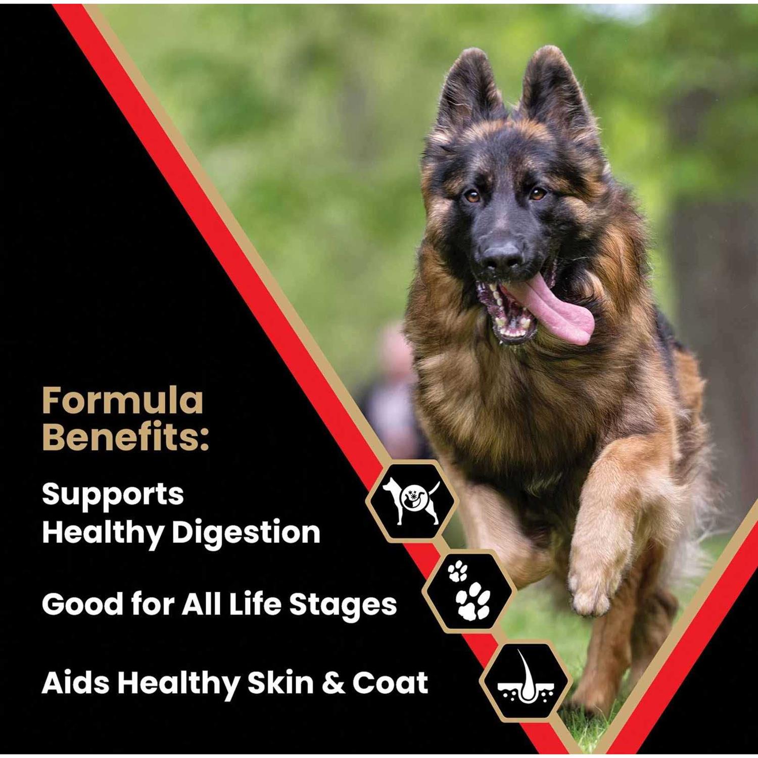 Victor High Energy Dry Dog Food - Nail Gallerys