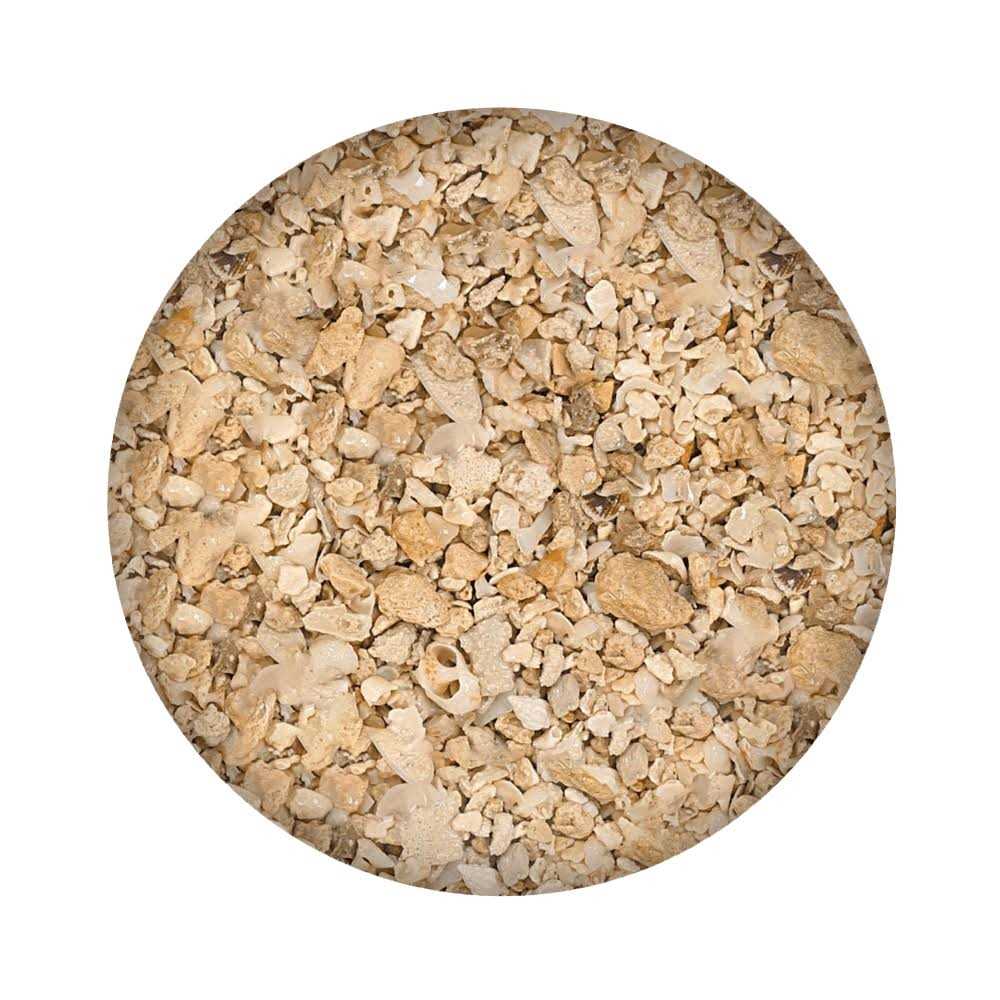 CaribSea Florida Crushed Coral - Nail Gallerys