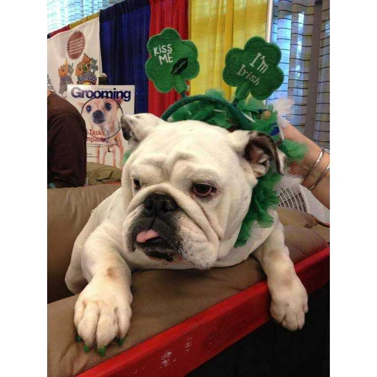 Warren London Pawdicure Dog Nail Polish Pen - Nail Gallerys