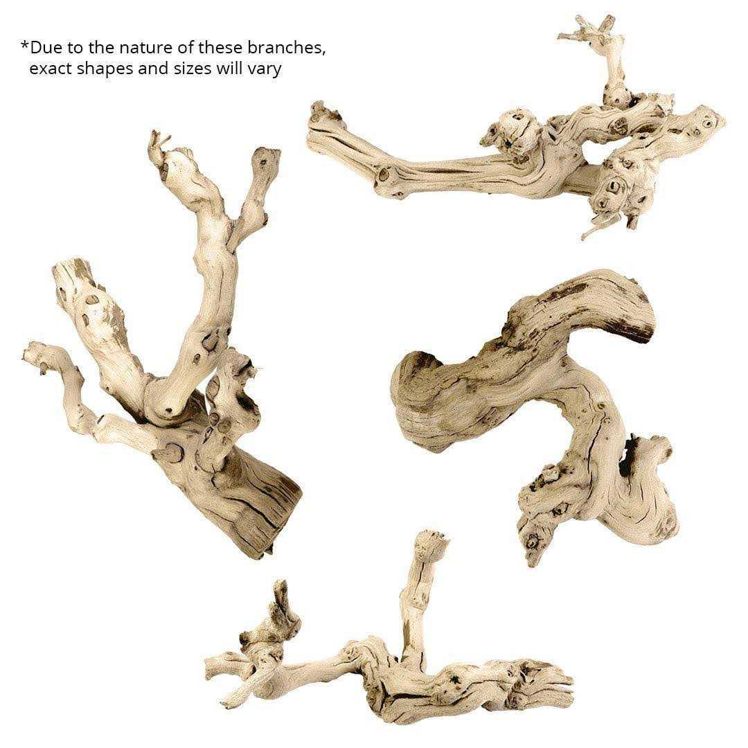 Koyal Wholesale Grapewood Branch - Nail Gallerys