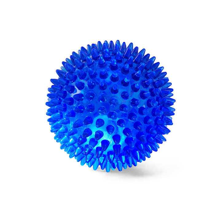 Leaps & Bounds Spiny Ball Dog Chew Toy - Nail Gallerys
