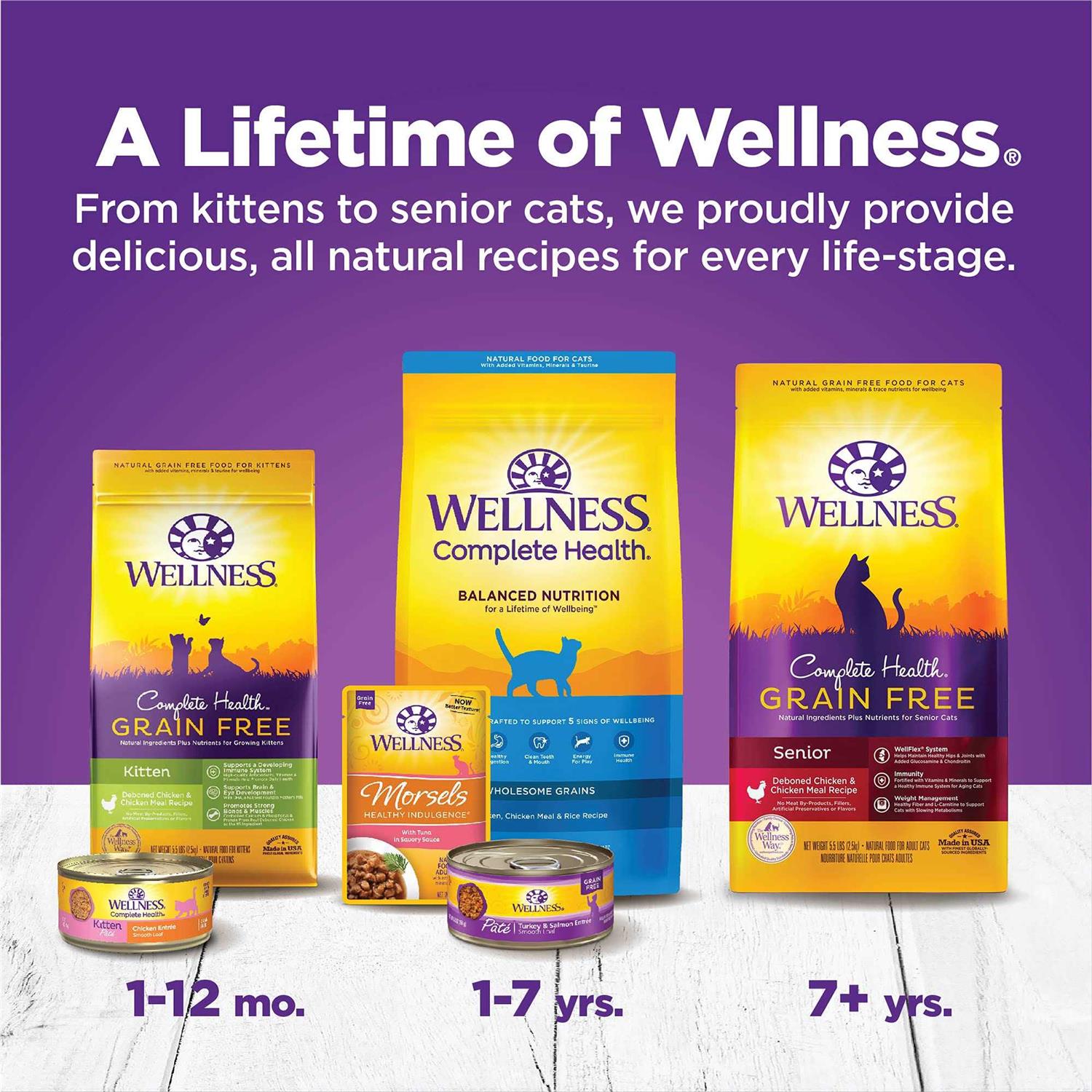 Wellness Complete Health Kitten Canned Wet Cat Food - Nail Gallerys