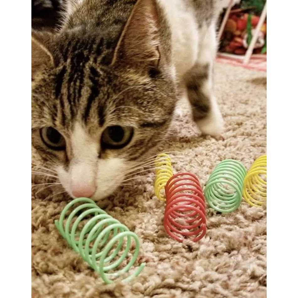 Spot Colorful Springs Cat Toy Thin - Nail Gallerys