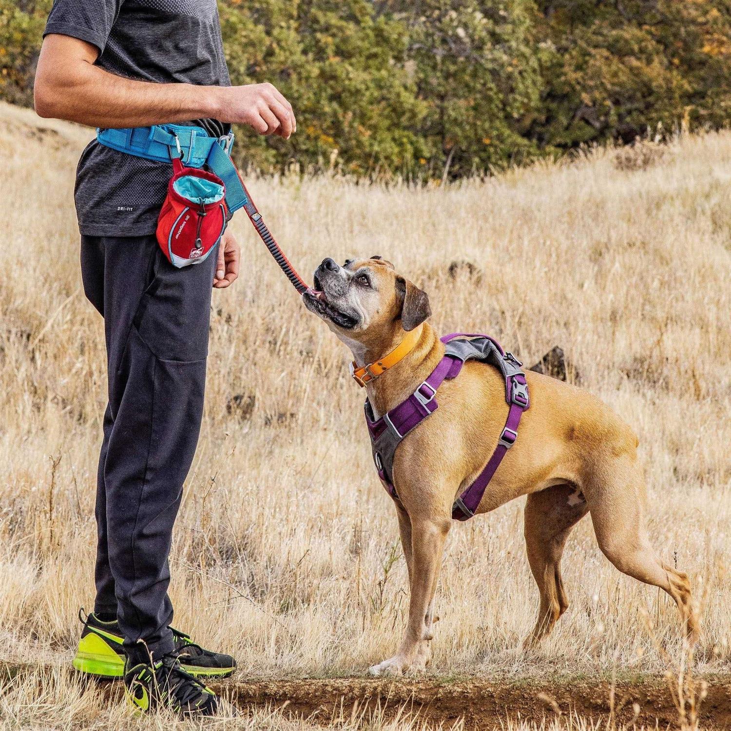 Kurgo Go Stuff It Dog Treat Bag - Nail Gallerys