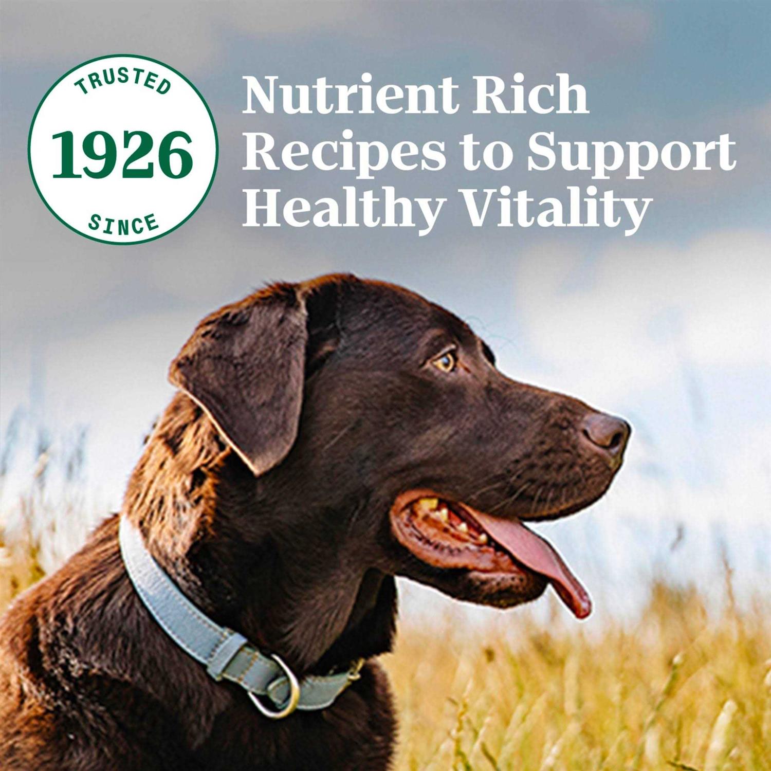 Nutro Natural Choice Adult Chicken & Brown Rice Dry Dog Food - Nail Gallerys