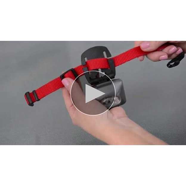 PupLight Dog Safety Light Version 2 - Nail Gallerys