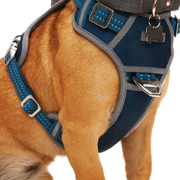 Reddy Navy Dog Harness - Nail Gallerys