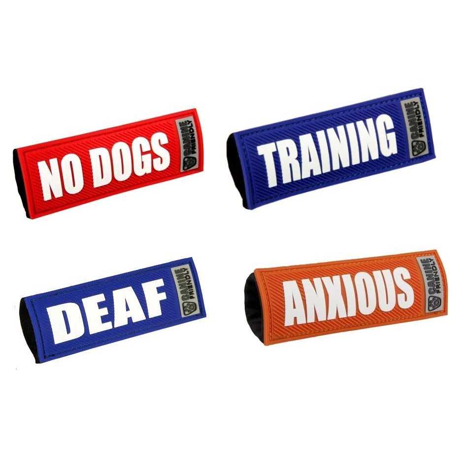 Bark Notes Dog Collar and Leash - Nail Gallerys