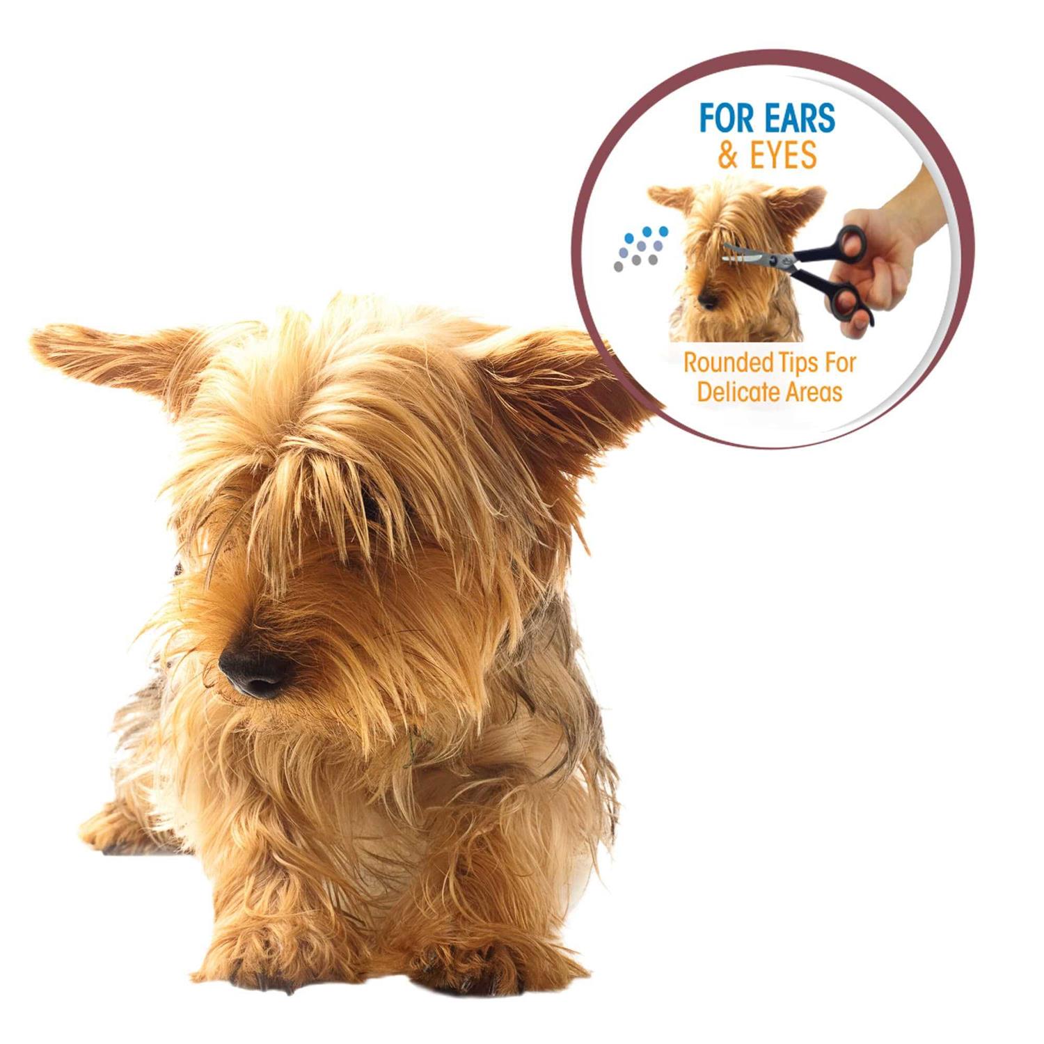 Four Paws Magic Coat Ear and Eye Scissors - Nail Gallerys