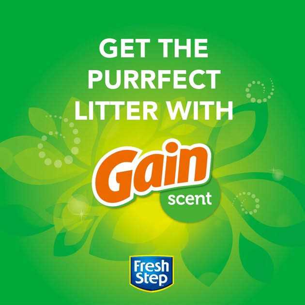 Fresh Step Febreze Freshness Clumping Cat Litter with Gain Scent - Nail Gallerys