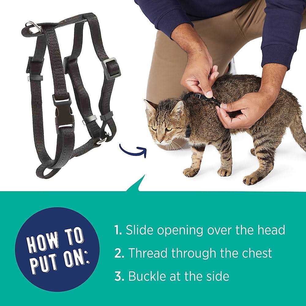 Whisker City Cat Harness - Nail Gallerys