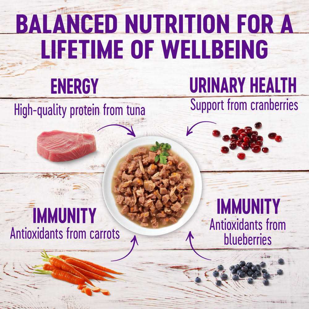 Wellness Healthy Indulgence Natural Grain Free Gravies and Gravy Cat Food Pouch - Nail Gallerys