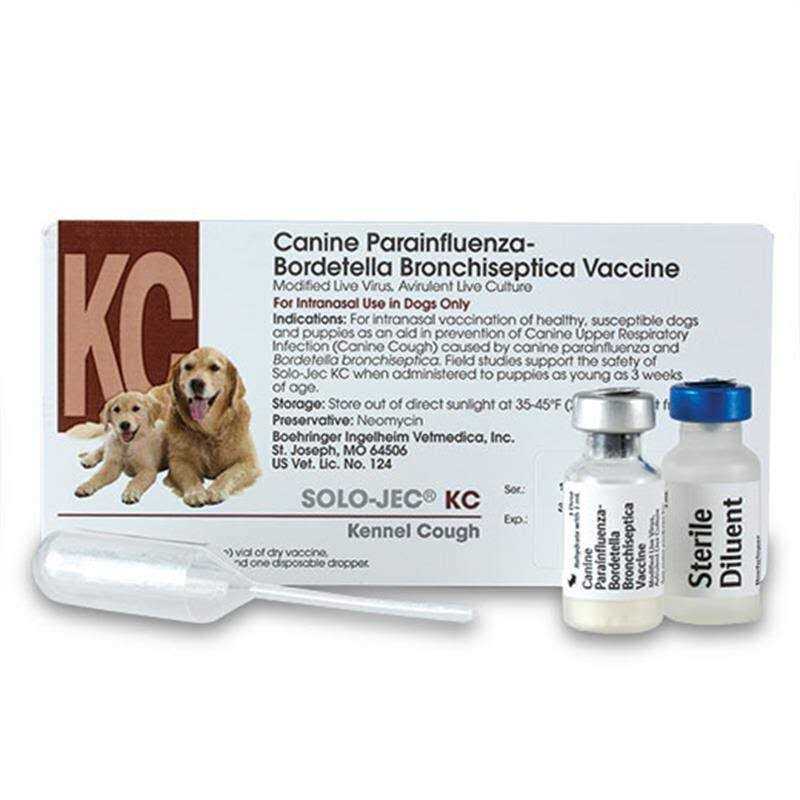 Solo-Jec KC Intranasal Vaccine - Nail Gallerys