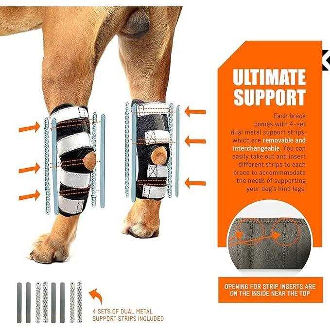 NeoAlly 3-in-1 Long Rear Leg Support Dog Splint Braces - Nail Gallerys