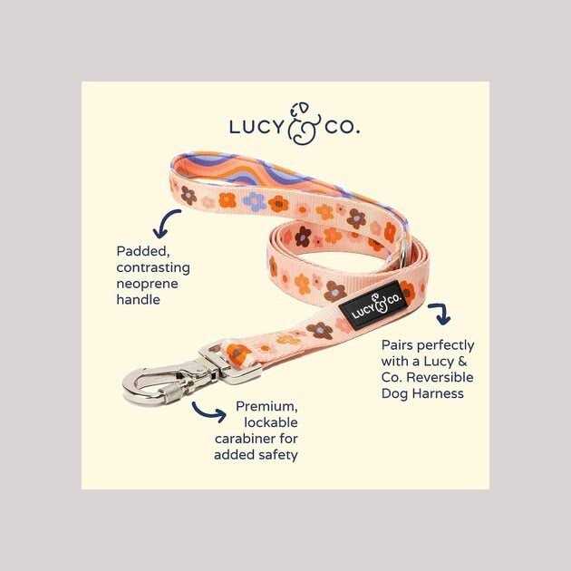 Lucy & Co Leash - Nail Gallerys