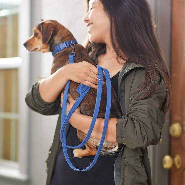Frisco Comfort Padded Dog Leash - Nail Gallerys