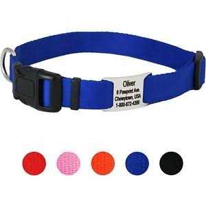 GoTags Adjustable Nameplate Personalized Dog Collar - Nail Gallerys