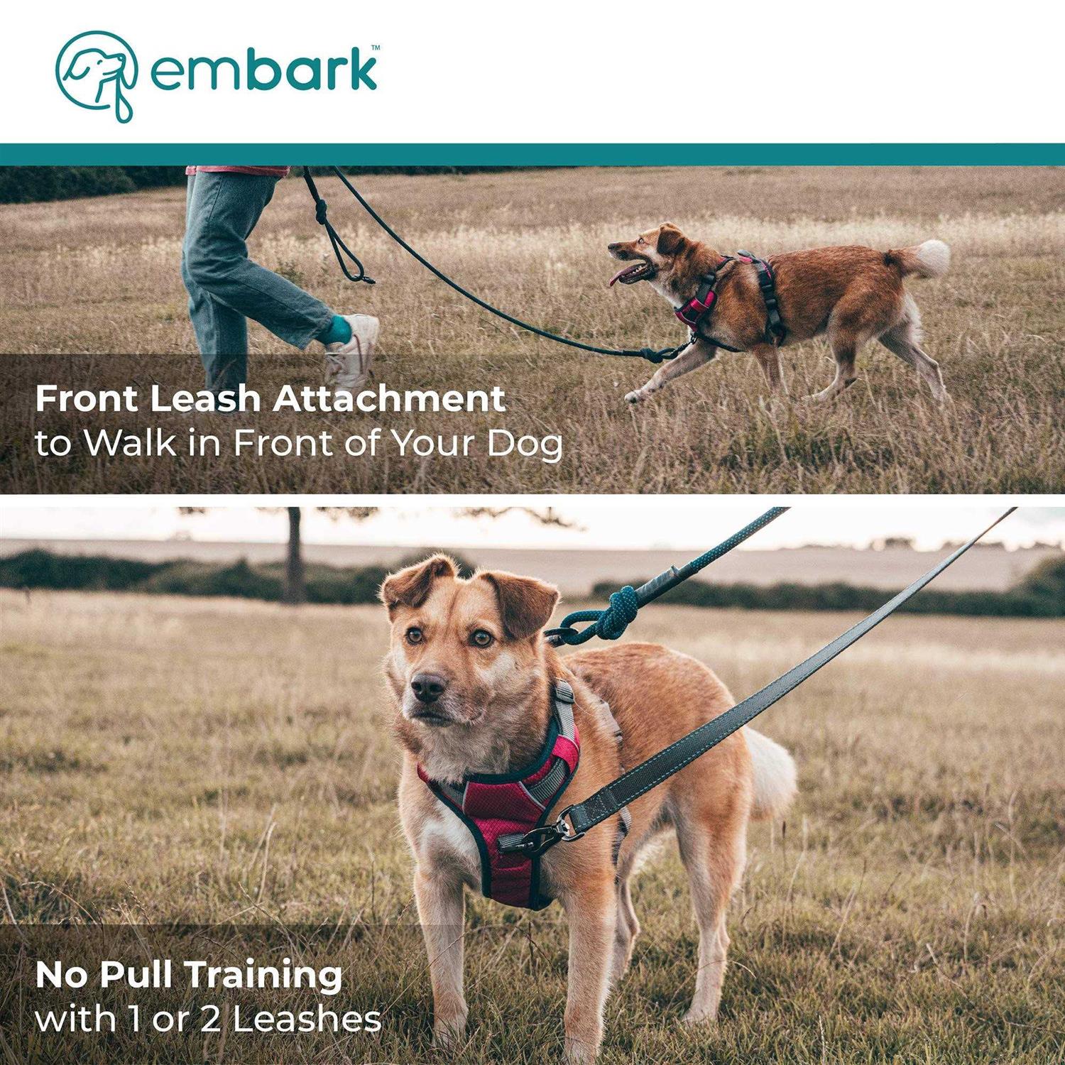 Embark Pets Embark Adventure Dog Harness No-Pull Dog Small Dogs Leash - Nail Gallerys