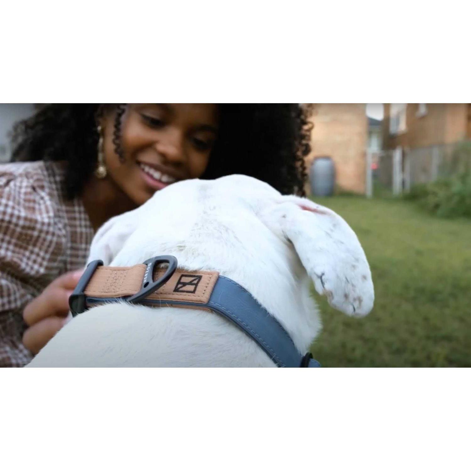 Herzog Silicone Collar - Nail Gallerys