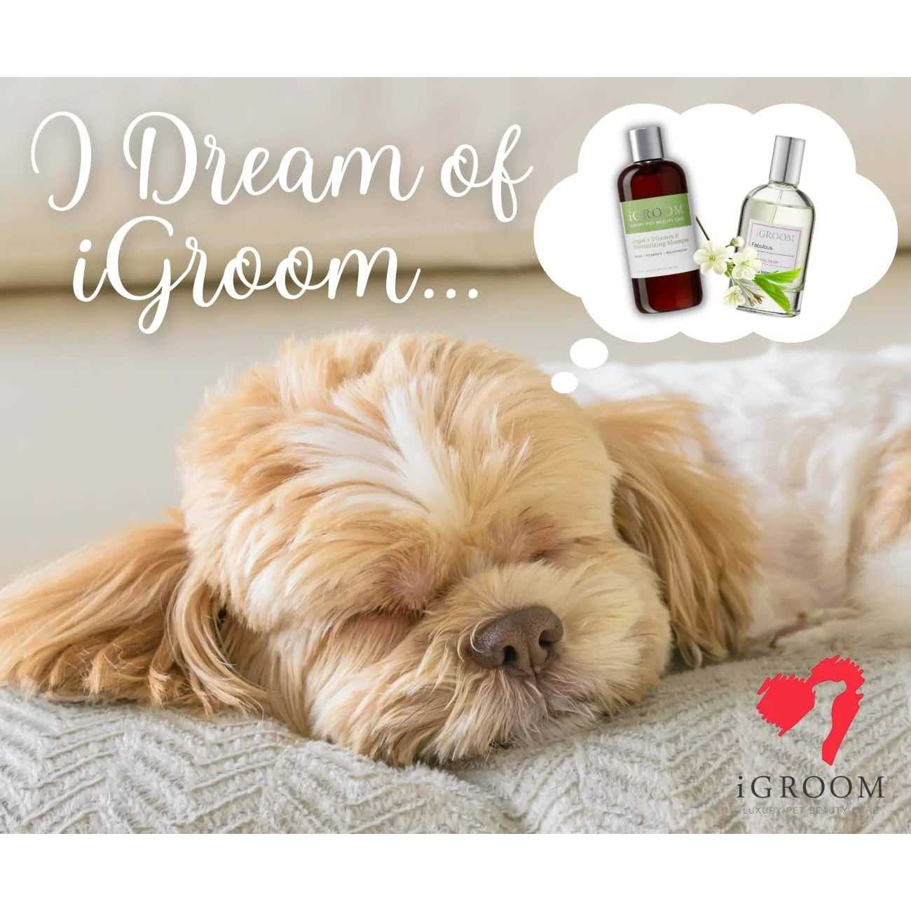 iGroom Argan + Vitamin E Moisturizing Shampoo - Nail Gallerys