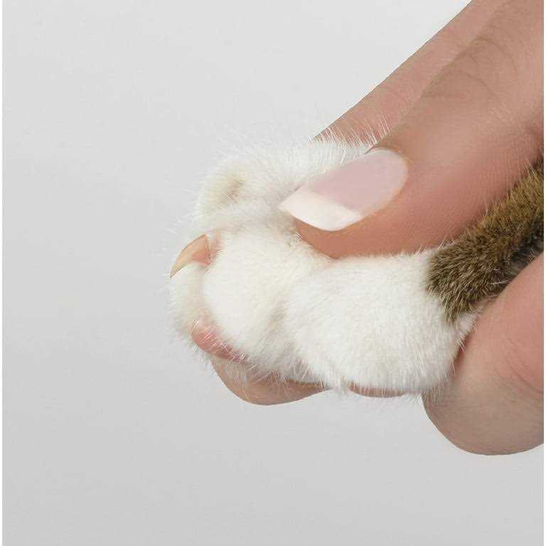 Oster Gentle Paws Nail Grinder Replacement Bands Accessory Kit for Dog and Cats - Nail Gallerys