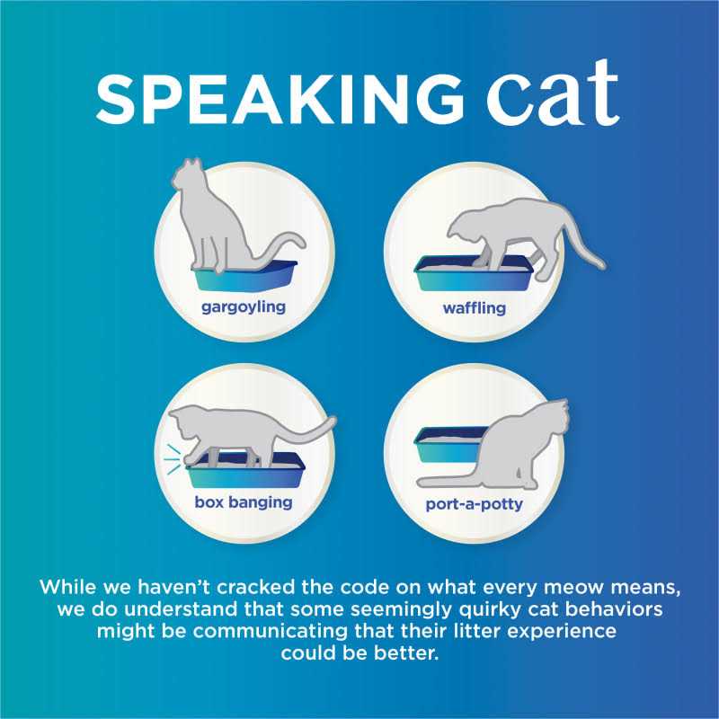 Purina Tidy Cats Tidy Care Comfort Unscented Odor Control Clumping Cat Litter - Nail Gallerys